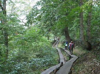 鳩待峠付近