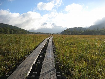 尾瀬ヶ原