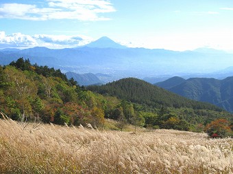 富士山