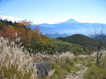 富士山