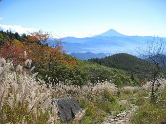 富士山