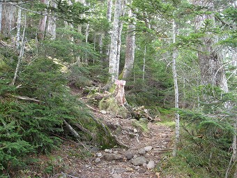 牛首登山道