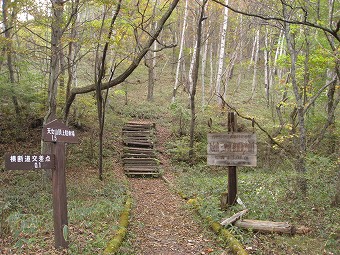 天女山・三ツ頭・権現岳　登山口