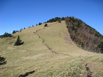 熊沢山