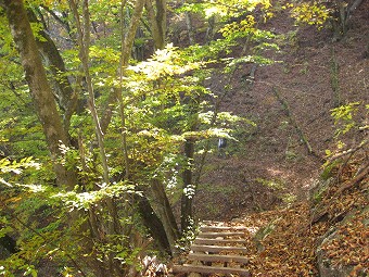 落ち葉の山腹道