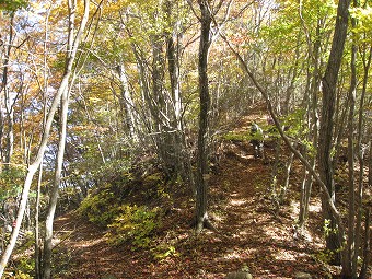 三頭山　北面巻き道分岐