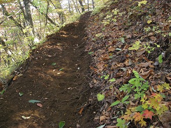 出来立ての登山道