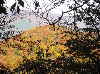 入小沢ノ峰あたりの紅葉