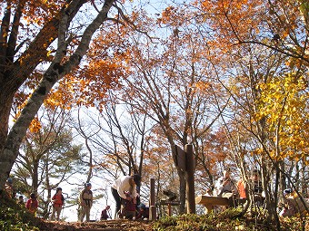 三頭山　山頂