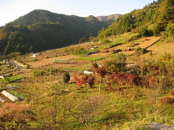 郷原