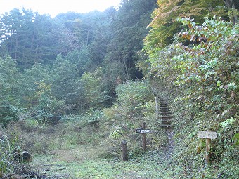 向山（オマキ平）　登山口