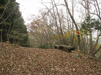 蕨山最高点