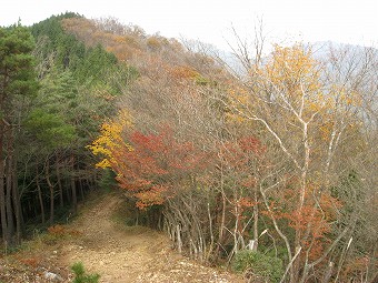 山頂から