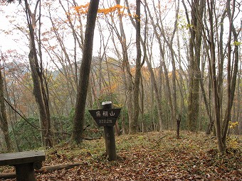 藤棚山