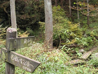 蕨山登山口