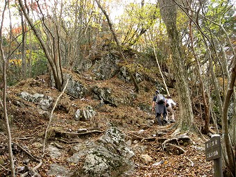 露岩急登