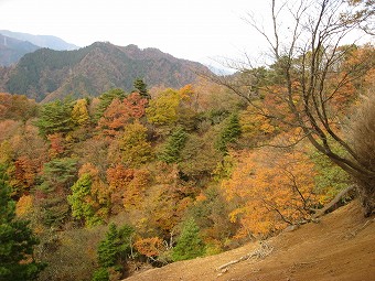 崩壊地から見る鍋嵐山