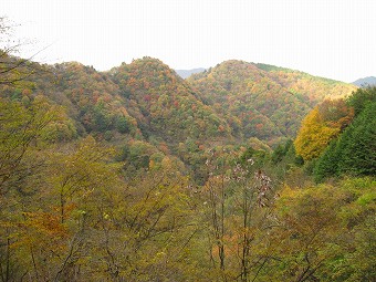 辺室山方面