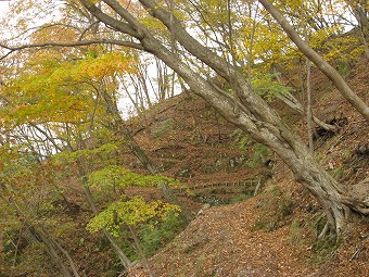 物見峠東側の巻き道