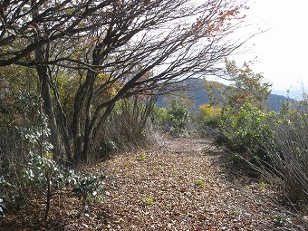 尾根に合流