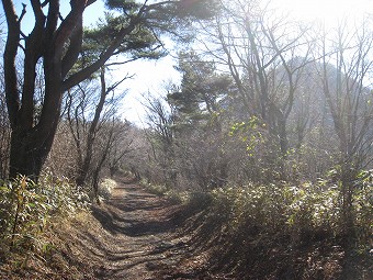 逆光の中に金時山