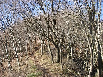 矢倉岳へ