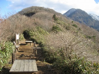 犬越路