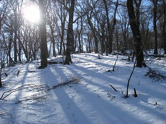 大室山へ