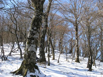 茅ノ尾根