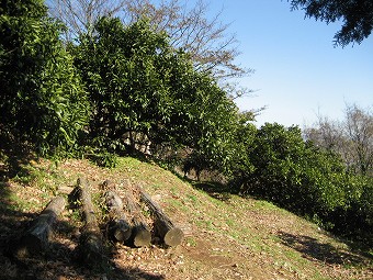 みかん園