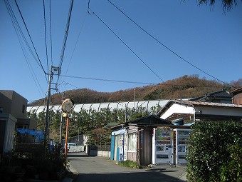 東名高速