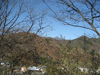 野菊と信仰の道