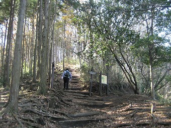 善波峠　分岐