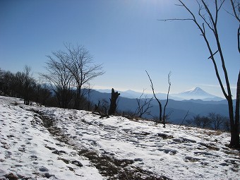 富士山見つつ