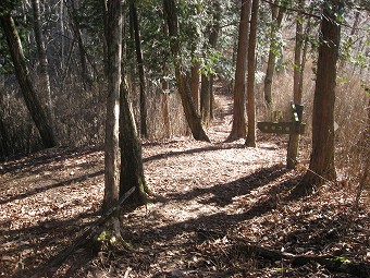 水根沢林道分岐