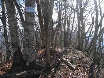 榧ノ木山