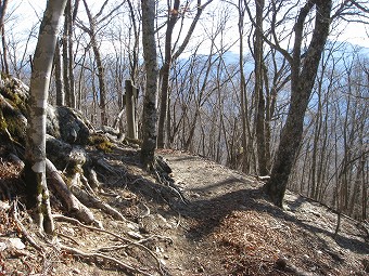 ノボリ尾根分岐