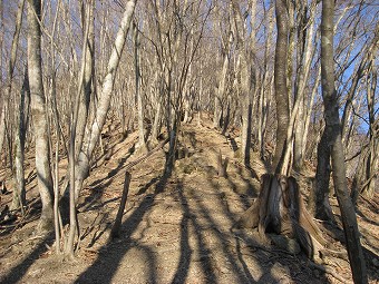 倉戸山の急下り