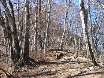 稲村岩尾根