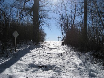 鷹ノ巣山　山頂へ