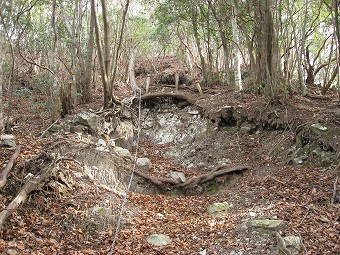 板小屋沢ノ頭への急登