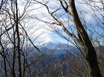 富士山