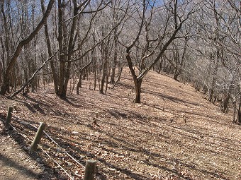 惣岳山　西側防火帯