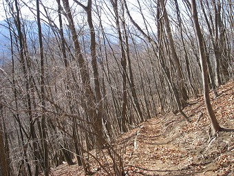 小河内峠へ