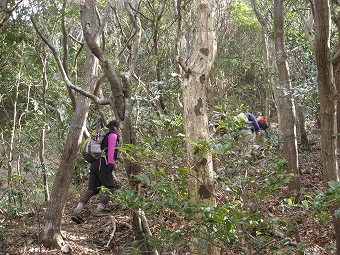 葛城山背面登山道