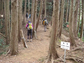 城山・葛城山・発端丈山の分岐