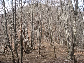 宮地山へ