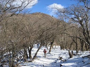 塔ノ岳へ