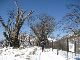 丹沢らしい雰囲気