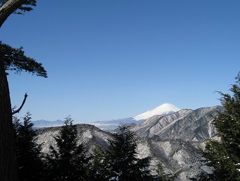 大倉尾根の富士山